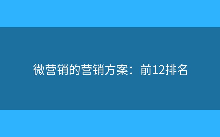微营销的营销方案：前12排名