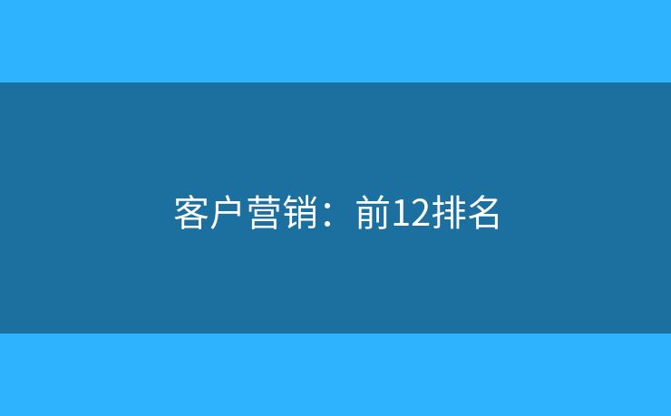 客户营销：前12排名