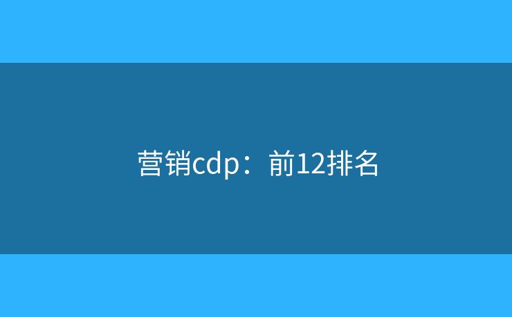 营销cdp：前12排名