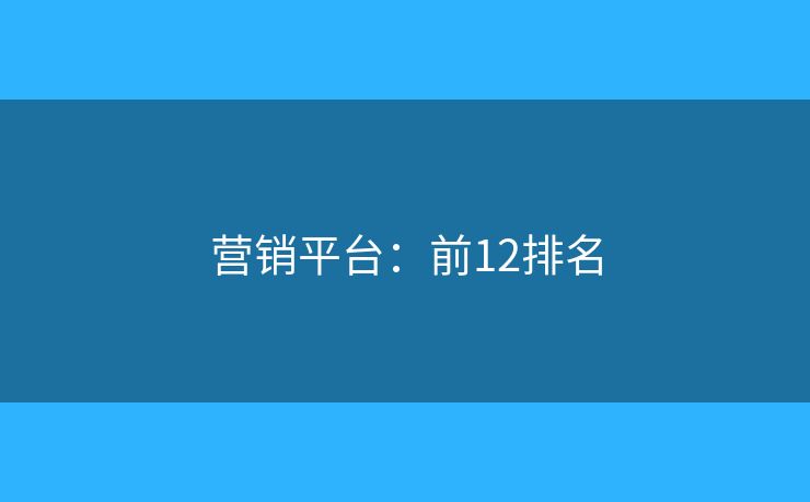 营销平台：前12排名