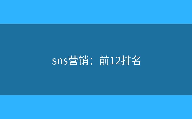 sns营销：前12排名