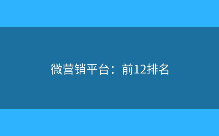微营销平台：前12排名