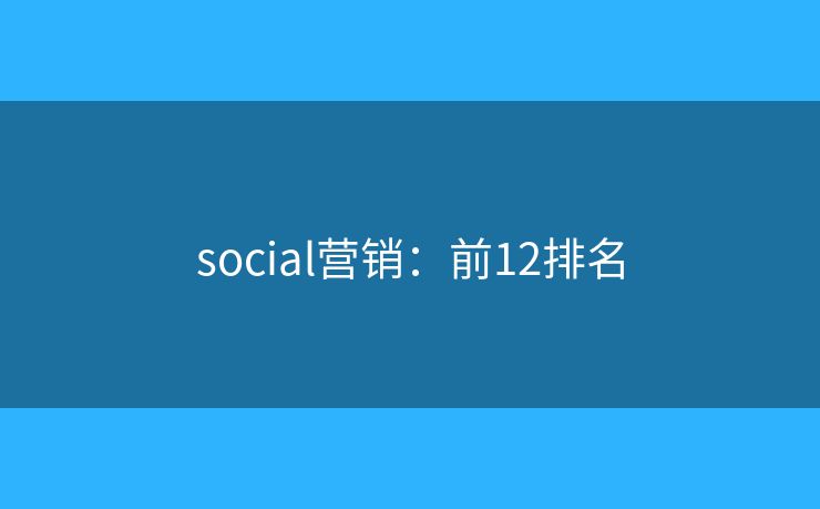 social营销：前12排名