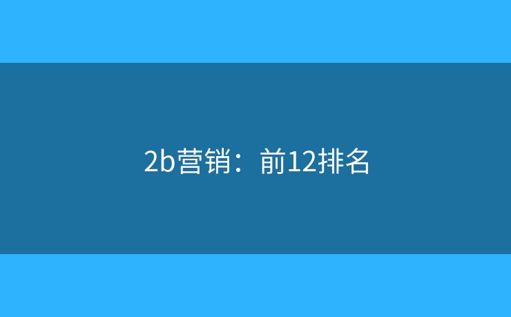 2b营销：前12排名
