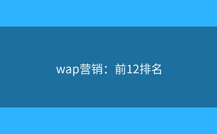 wap营销：前12排名