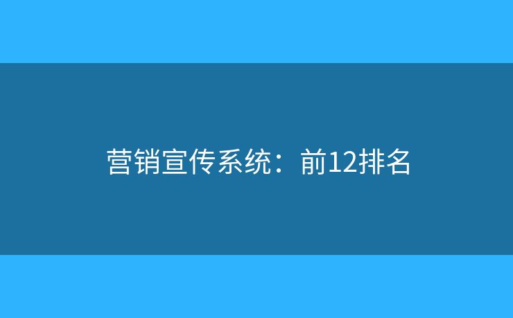 营销宣传系统：前12排名