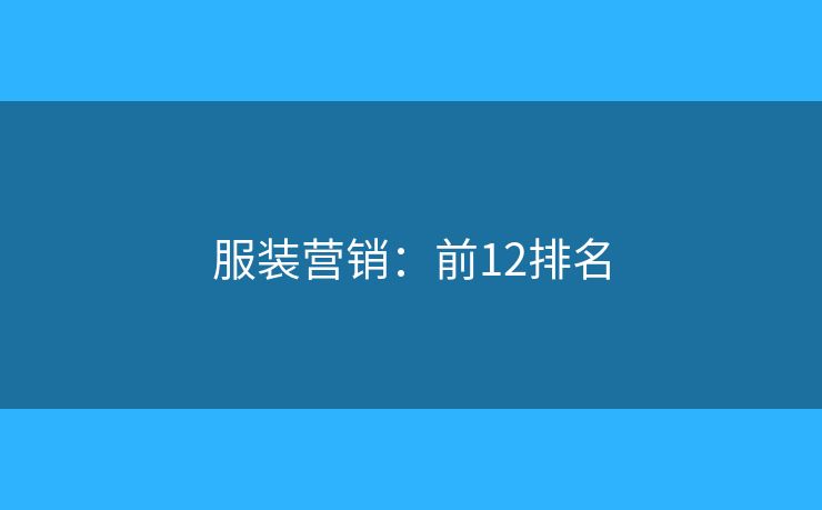 服装营销：前12排名