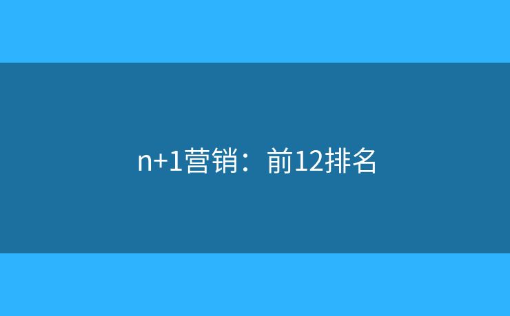 n+1营销：前12排名