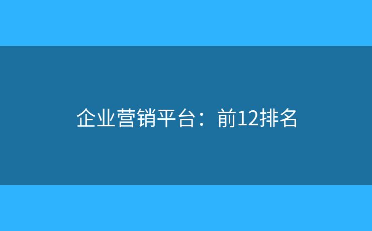 企业营销平台:前12排名 企业营销平台:前12排名