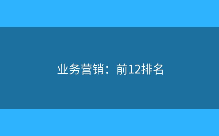 业务营销：前12排名