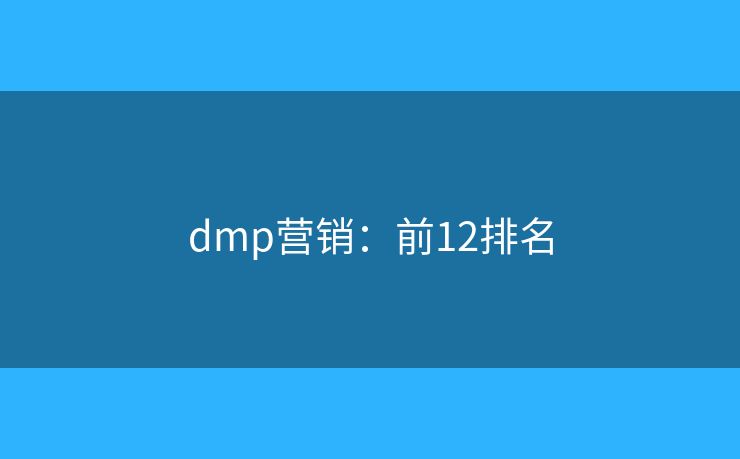 dmp营销：前12排名