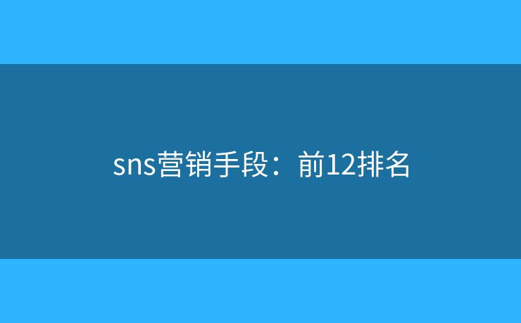 sns营销手段：前12排名