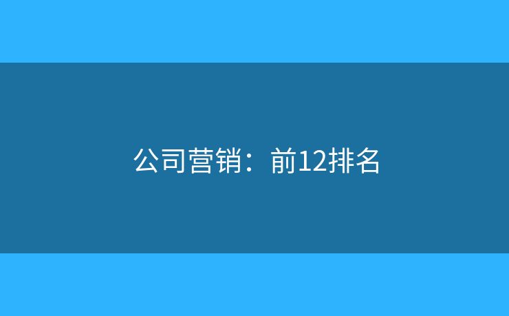 公司营销：前12排名