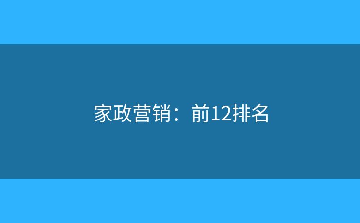 家政营销：前12排名
