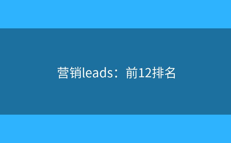 营销leads：前12排名
