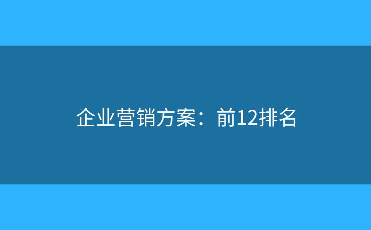 企业营销方案：前12排名